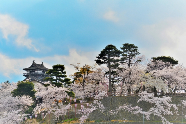 福井県『丸岡城』を120％楽しむ観光ガイド（写真スポット・アクセス・スタンプ・駐車場）を徹底紹介