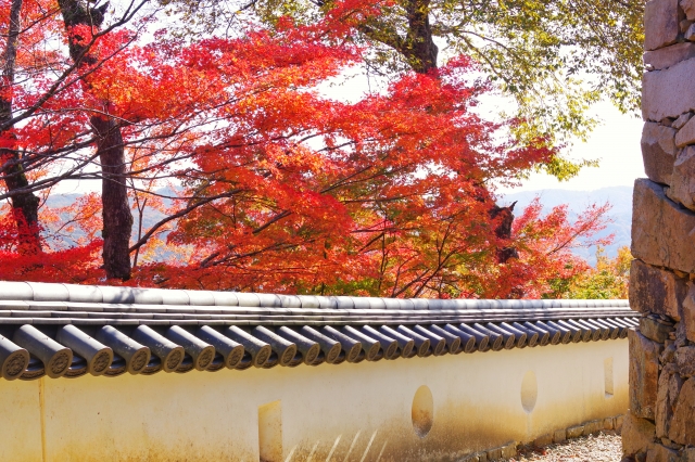 岡山県『備中松山城』を120％楽しむ観光ガイド（写真スポット・アクセス・スタンプ・駐車場）を徹底紹介