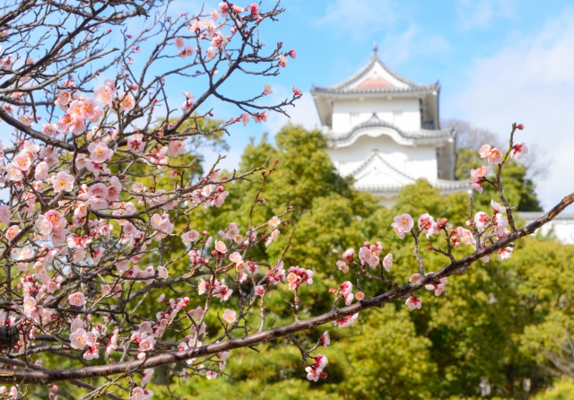 兵庫県『明石城』を120％楽しむ観光ガイド（写真スポット・アクセス・スタンプ・駐車場）を徹底紹介