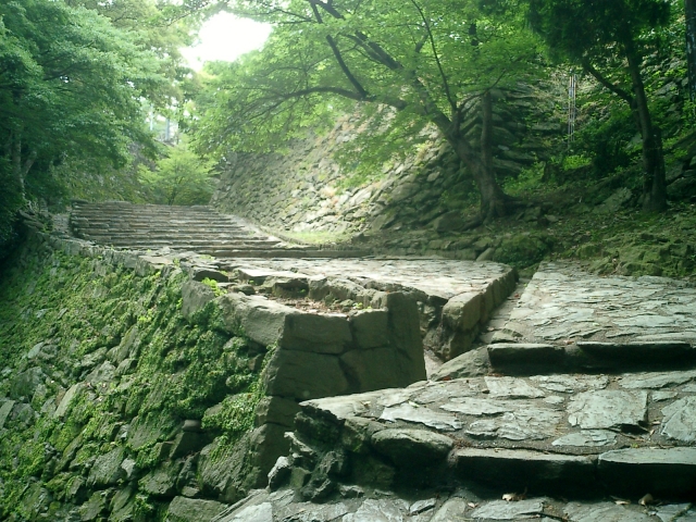和歌山県『和歌山城』を120％楽しむ観光ガイド（写真スポット・アクセス・スタンプ・駐車場）を徹底紹介